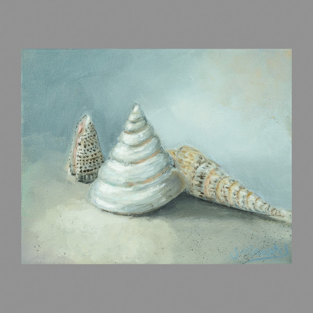 Original oil painting,  "Sea cones #2" ,   8"x10"